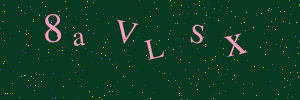 Validation image